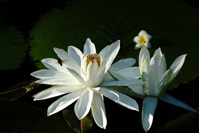 首页- k8凯发集团中国官方网站