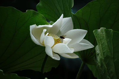 首页- k8凯发集团中国官方网站