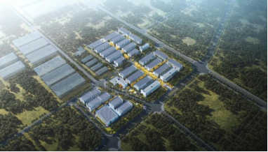 首页- k8凯发集团中国官方网站